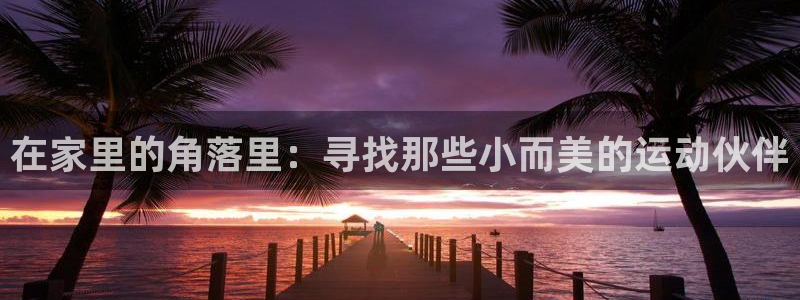 emc易倍体育官方正版app娱乐下载：在家里的角落里
