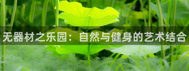 emc易倍体育官网下载娱乐：无器材之乐园：自然与健身