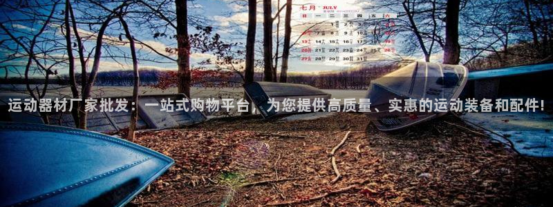 emc易倍体育官方正版app集团官网首页网址：运动器材厂家批