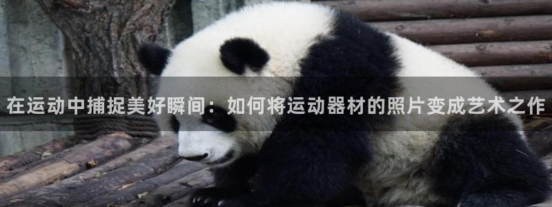 emc易倍体育官方正版app开户：在运动中捕捉美好瞬间：如何