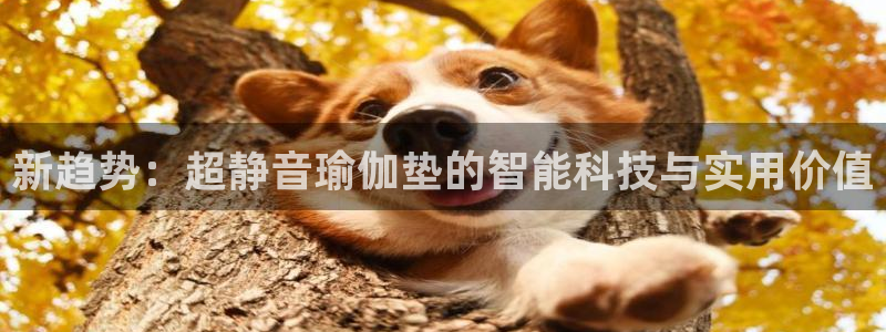 emc易倍体育官网下载招商电话号码查询
