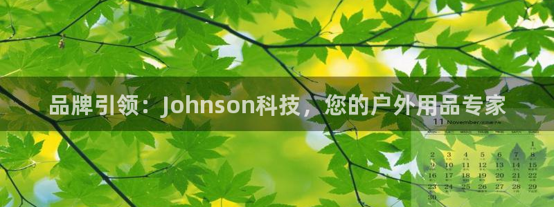 emc易倍体育官方正版app娱乐40996：品牌引领：Joh