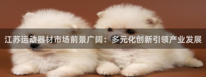 emc易倍体育官网下载平台假的吗是真的吗吗：江苏运动器材市场