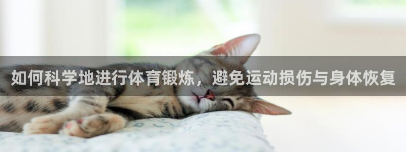 风速体育app