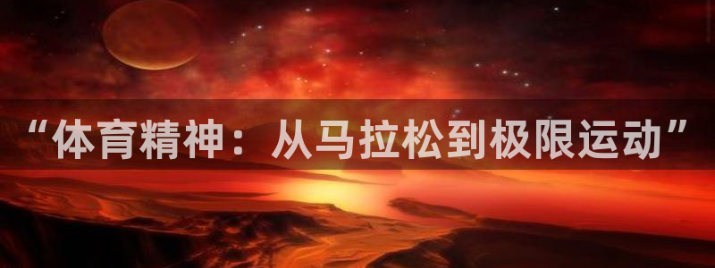 风速体育官网