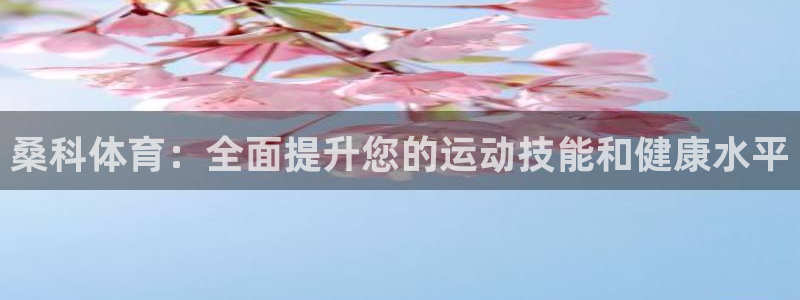 下载风速体育