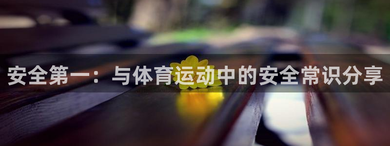风速体育app下载安装最新版本：安全第一：与体育运动中的安全常识分享