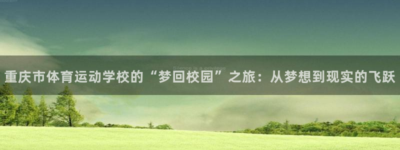风速体育app