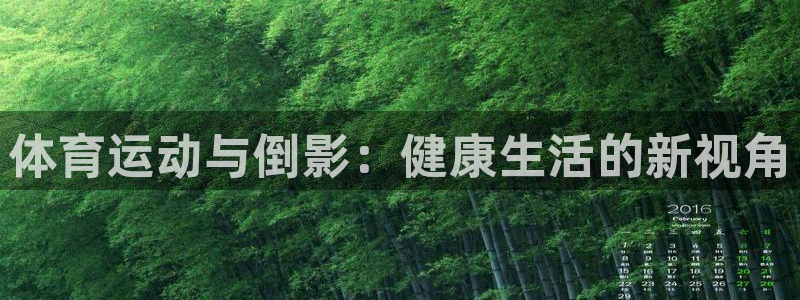 风速体育直播：体育运动与倒影：健康生活的新视角