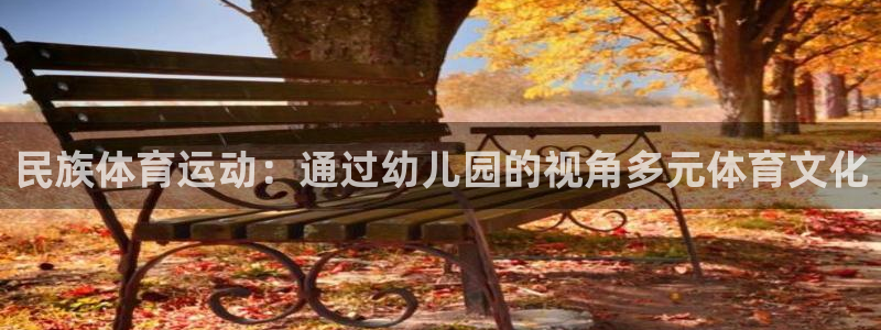 风速体育官网：民族体育运动：通过幼儿园的视角多元体育文化