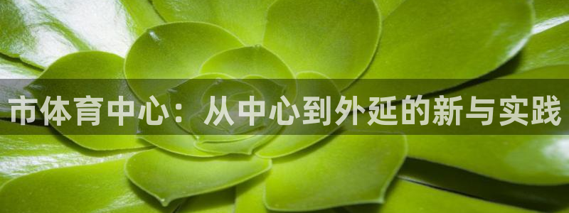 风速体育官网：市体育中心：从中心到外延的新与实践