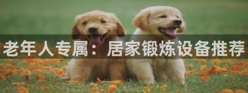 emc易倍体育官方正版app娱乐40996：老年人专属：居家