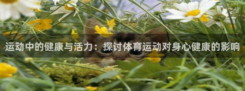 风速体育app下载官网最新版：运动中的健康与活力：探讨体育运动对身心健康的影响